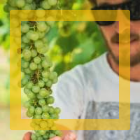 Marco Tampieri – Dozza (BO) – Emilia Romagna
